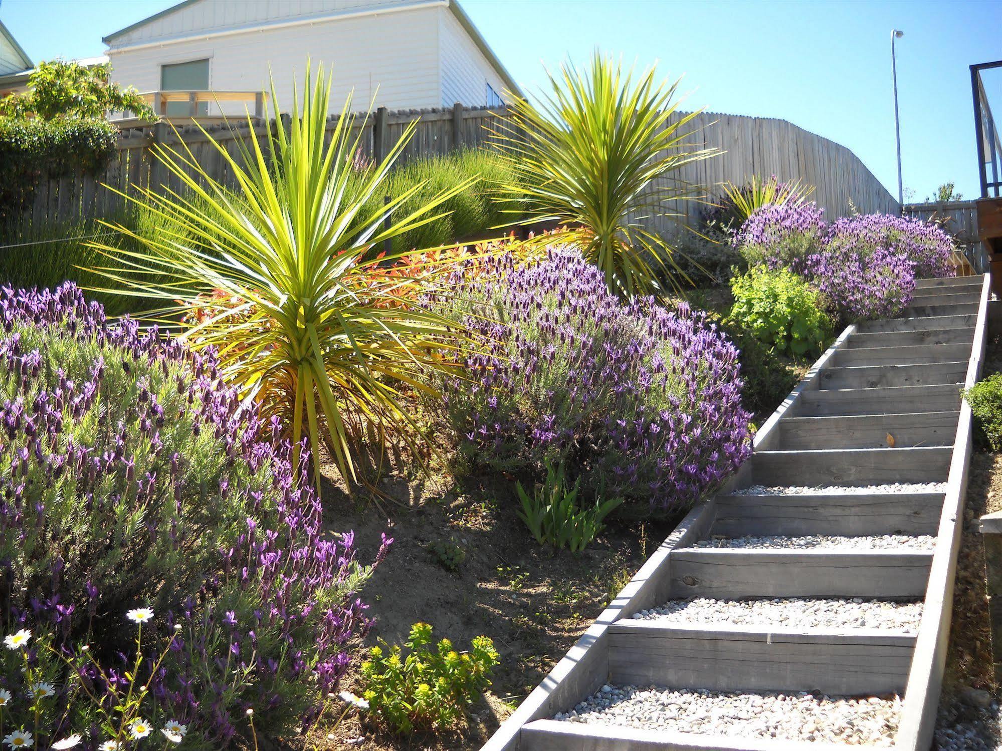 Criffel Peak View Bed And Breakfast Wanaka Exterior photo